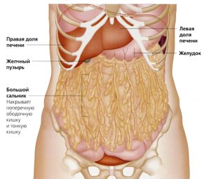 Как избавится от жира на животе. Формируем подтянутый живот.