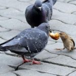 5 шагов для достижения своей цели